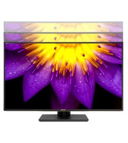 Asus ProArt PA329C 32" IPS 60Hz