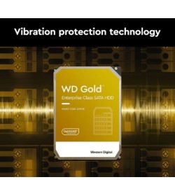 WD Gold 22TB Sata 3 512MB