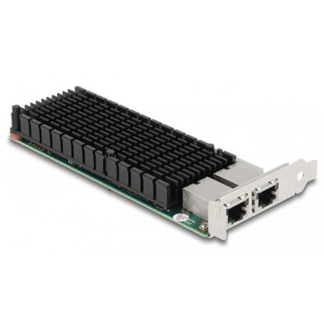 Delock X540 Ethernet 10 Gigabit PCIe