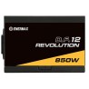 Enermax Revolution DF 12 850W 80 Plus Gold Modular ATX 3.1