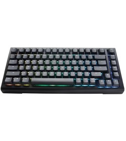 Ducky Tinker65 75% RGB Negro MX Speed Silver