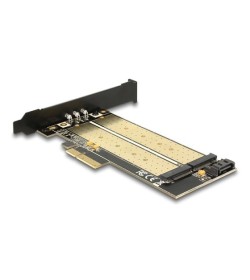 Delock Tarjeta PCIe x4 a 2 puertos M.2