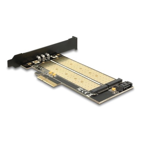 Delock Tarjeta PCIe x4 a 2 puertos M.2