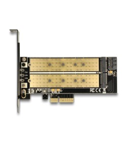 Delock Tarjeta PCIe x4 a 2 puertos M.2