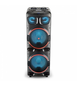 NGS Wild DUB 1/300W Altavoz Portátil Bluetooth