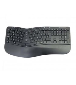 Conceptronic ERGO Ergonomic Teclado + Ratón Inalámbrico