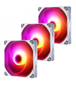 Phanteks M25 PWM D-RGB PWM Blanco 140mm (Pack 3 uds)